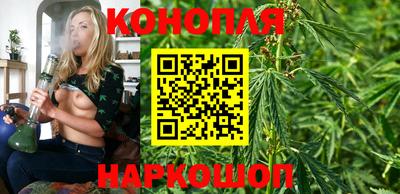 дживик Тара