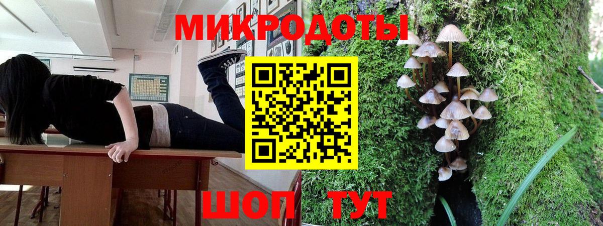 дарнет шоп  Галлюциногенные грибы прущие грибы  Вход с VPN  Нерюнгри 