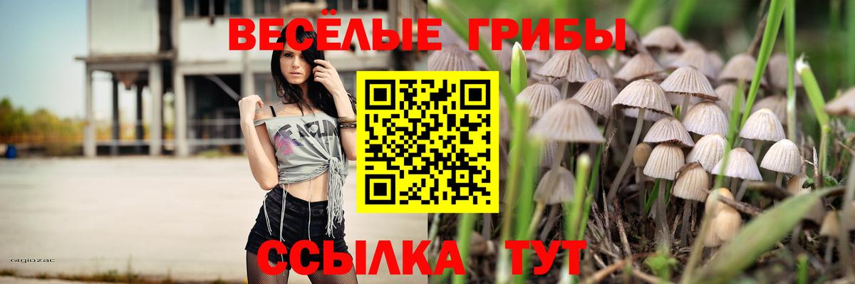 Галлюциногенные грибы мицелий Нерюнгри