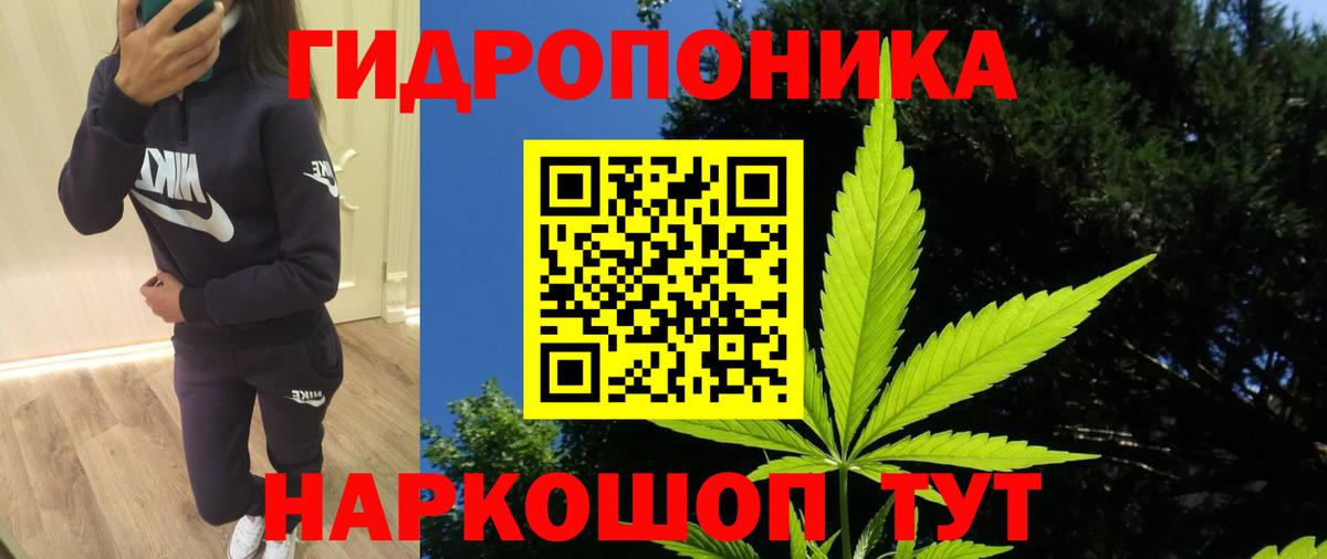 Канабис план  МАРИХУАНА марихуана  Конопля Ganja  Бошки марихуана Ganja  Нерюнгри  Вход с VPN 