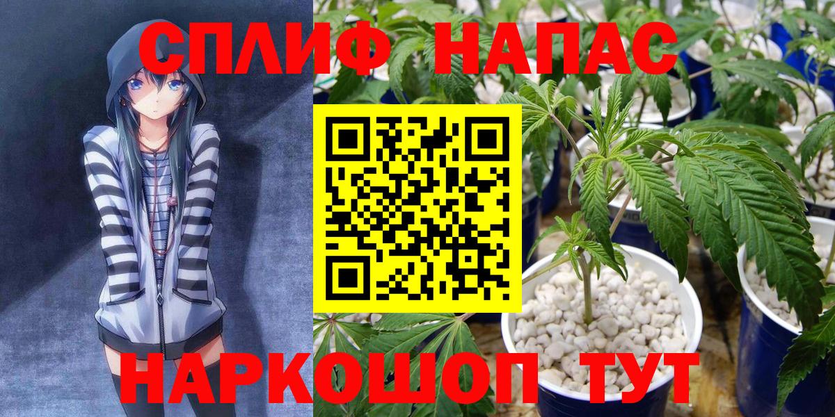 МАРИХУАНА ГИДРОПОН Нерюнгри